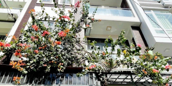 HOT - BÁN NHÀ HXH – CÁCH MẠNG THÁNG 8, QUẬN 3, 3 T, 45 M, 7.15 Tỷ - 0933644449