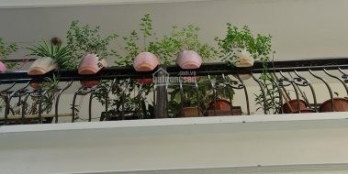 Chính chủ cần bán tòa nhà 8 tầng thang máy, MT 9m, 20 căn hộ cho tây thuê