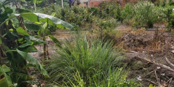 Bán Nhà Tạm Mặt Tiền Đường TL 833 Cạnh Chợ Bà Mía _ 3.5 tỷ