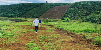 Khu nghỉ dưỡng ven hồ Gems Paradise 2 Bảo Lộc, chỉ 539 triệu