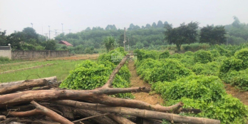 Đầu tư tái định cư Đồng Roi - Ba Vì siêu lời cho nhà đầu tư x2x3