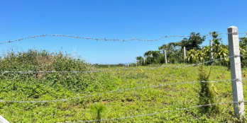 Bán gấp 10000m2 tại thôn 8 Đại Lào TP Bảo Lộc Giá chỉ 2tỷ 750tr