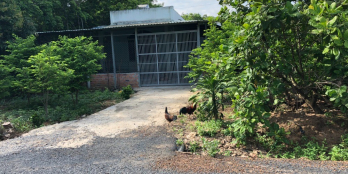 Đất giáp Bình Long - Bình Phước 300m - SHR (thổ cư )