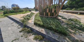 Đất Nền Sát Chợ Cần Đước- Mặt Tiền Trần Hưng Đạo- Sổ Riêng Vay Ngân Hàng Lên 90%