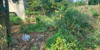 Lô góc siêu siêu đẹp trong khu tập thể quân đội J106 Chương Mỹ, Hà Nội