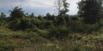 ĐỊNH QUÁN- ĐỒNG NAI  CCG đất mặt tiền xe hơi chạy khu vực đang sốt của huyện