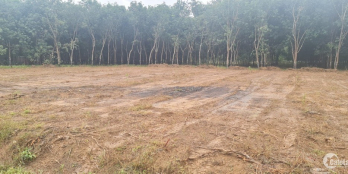 Cần bán 275m2 đất thổ cư, sau UBND Xã Tân Lợi