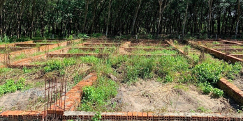 Đầu tư sinh lời khủng với lô đất ngay CỔNG KCN PHƯỚC ĐÔNG, sổ riêng từng nền