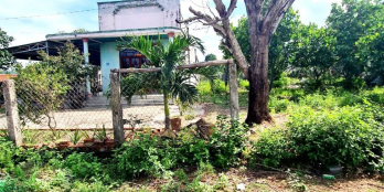 1 tỷ 35 Bán Đất 2 MT 1120m2, 200TC, Tân Nghĩa, , Bình Thuận - 0933644449