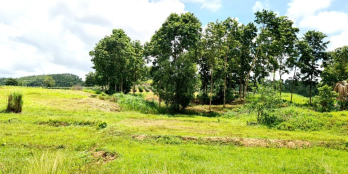 1350M Bán Đất MT 200 TC, 1.8 TỶ, TÂN NGHĨA, HÀM TÂN, BÌNH THUẬN - 0933644449