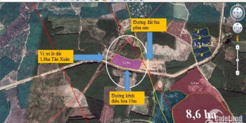 Bán Lô 1Ha6 Thôn Đá Mài 1, Xã Tân Xuân - Hàm Tân