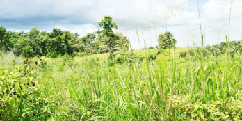 1000m- ĐẤT THỔ CƯ, Đường MT 1 tỷ 7, TÂN HÀ, HÀM TÂN, BÌNH THUẬN - 0933644449