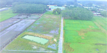 Rẻ nhất Nhuận Đức-Củ Chi 30x40 MT Nguyễn Thị Rành giá chỉ 1,7 tỷ SHR Bán gấp