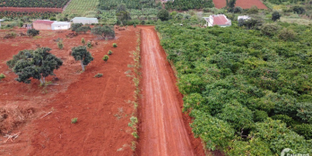 500m2 - 1000m2 Giá 950 Triệu Ngay Trung tâm | Bán Đất Lâm Hà - Lâm Đồng VIEW cực