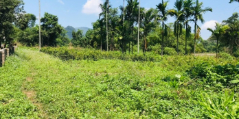 Hiếm,Rẻ, Hơn 2300m Bám Suối Sạch 50m, Bám Đường Hơn 30m, Oto Tránh, Gần Hà Nội