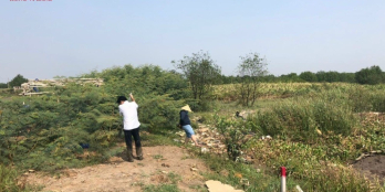 HVL  Cần bán 1998m2 đất trồng cây lâu năm, P. Long Phước, Quận 9. 26/11/2021