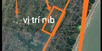 Đất mới trúng đấu giá MB 3367 Quảng Hải, Quảng Xương, TH.