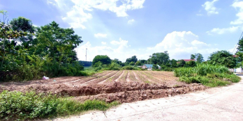 CHỈ VỚI HƠN 2TR/M2 - LÔ ĐẤT MẶT TIỀN 50M - PHÙ HỢP ĐỂ CHIA LÔ