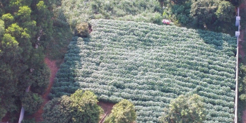 ĐẦU TƯ NGẮN HẠN GIÁ CHỈ 4TR SỔ ĐỎ HÀ NỘI-ĐÓN SÓNG QUY HOẠCH