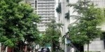 Chào bán lô đất đường Lê Mạnh Trinh