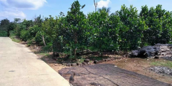 CHO LƯỚT CỌC 6 THÁNG AE LƯỚT THOẢI MÁI.. NHANH TAY NÀO