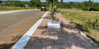 Đất Hắc Dịch giữa 2 KCN lớn SHR giá chỉ từ 5tr/m2