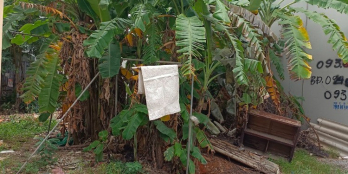 Bán đất 8m mặt tiền ngõ ô tô phường Đông Thọ- Thanh Hóa