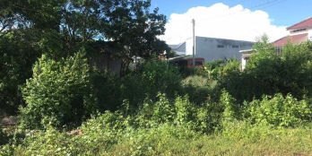 Vị trí: Thuộc phường 9, ngay trung tâm hành chính tỉnh Vĩnh Long.