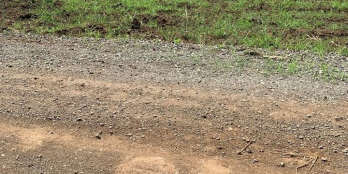 Chủ Gửi 1264m2. Trung hoà trảng bom. mặt tien dài 56m đường xe tải lớn