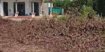 Gia đinh cần bán hơn 1 sào đất xã tân an , huyện vĩnh cửu. Mặt tiền đường nhựa,