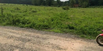 400m mặt tiền đường  3,3Ha giá 290tr/sào