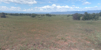 Bán 1ha đất vườn giá 1 tỷ. Đất vuông vức, có đường vào, sẵn sổ