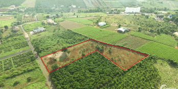 Bán lô đất 3435m2, thực tế hơn 4,6 sào, xã Dambri, Bảo Lộc