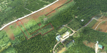 Bán đất 1254m2, hẻm 71 Trần Nhật Duật, Đamb’ri, Bảo Lộc