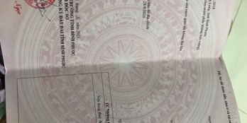 Bao Sổ Chỉ 279 Triệu Có Ngay Sào Đất 1000m2