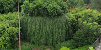 Trang trại cao tốc tân phú 10365m2 8ty500 triệu