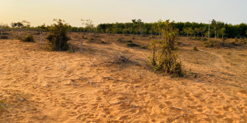 Đất vườn đầu tư, sát Safari, cách liên huyện 300m. Sẵn sổ