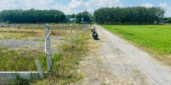 Đất vườn củ chi 1150m2 có sẵn nhà vườn,ao cá cực đẹp, mt đường nhà nước,sổ rieng