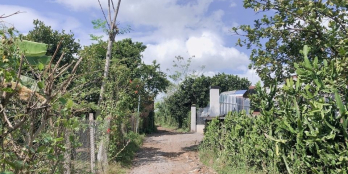 Bán 1 Sào Đất Cây Ăn Trái Bảo Quang, Long Khánh, Đồng Nai