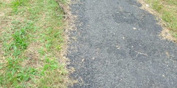 Ban miêng đât lua xã mỹ phước mang thit măt tiên lô nhưa 5 tân