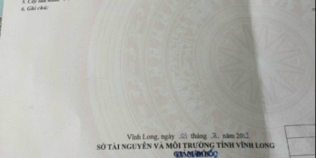 Vườn nhãn xã Mỹ Phước huyện mang thít đã đăng ký