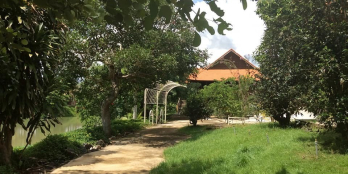 Ao sen gần suối mơ 9350m2 giá 5ty500 triệu