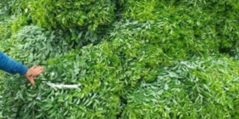 Bờ sông la ngà phú diền 28000m2 giá 6ty500 triệu