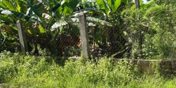 Đất chính chủ Diện tích: 288.8m