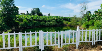 Đầu tư đất vườn theo mô hình Homestay tại Đồng Nai