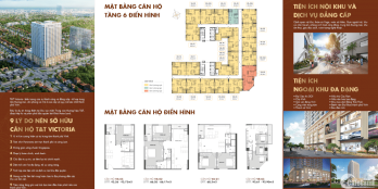 Mở bán căn hộ chung cư T&T Victoria Vinh