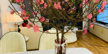 Căn hộ 1PN #Gateway Vũng Tàu Đẹp Ngất Ngây. Tầng Cao Giá Rẻ. LH: 0942882192