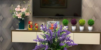 Hot! Căn Hộ DIC Phoenix 2PN view hồ tuyệt đẹp, giá chỉ 2.250 triệu