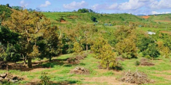 bán nhanh 2 căn biệt thự sân vườn nghỉ dưỡng tết cuối năm.