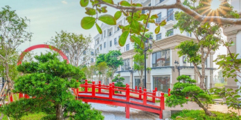 Quỹ căn shophouse biệt thự tháng 11/2021 Vinhomes Ocean Park